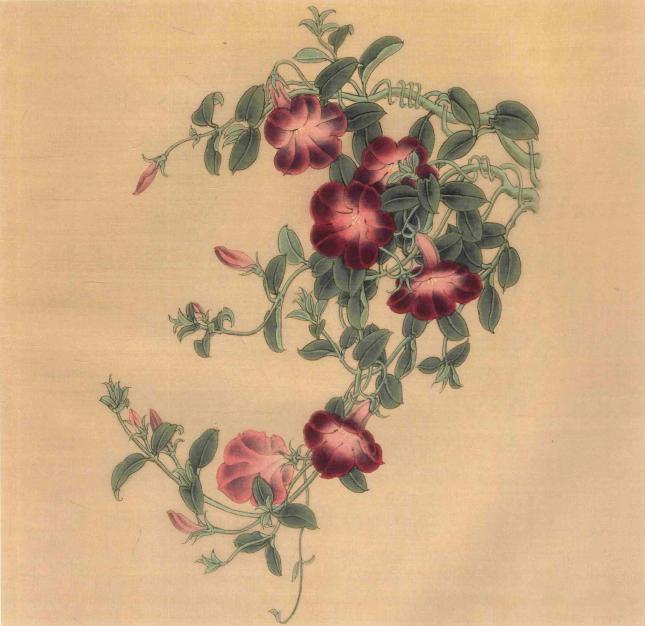 传统工笔花卉端庄秀丽使人雅俗共赏