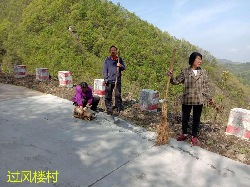 丹鳳農村人居環境整治在行動丹鳳農村人居環境戰報第二十一期