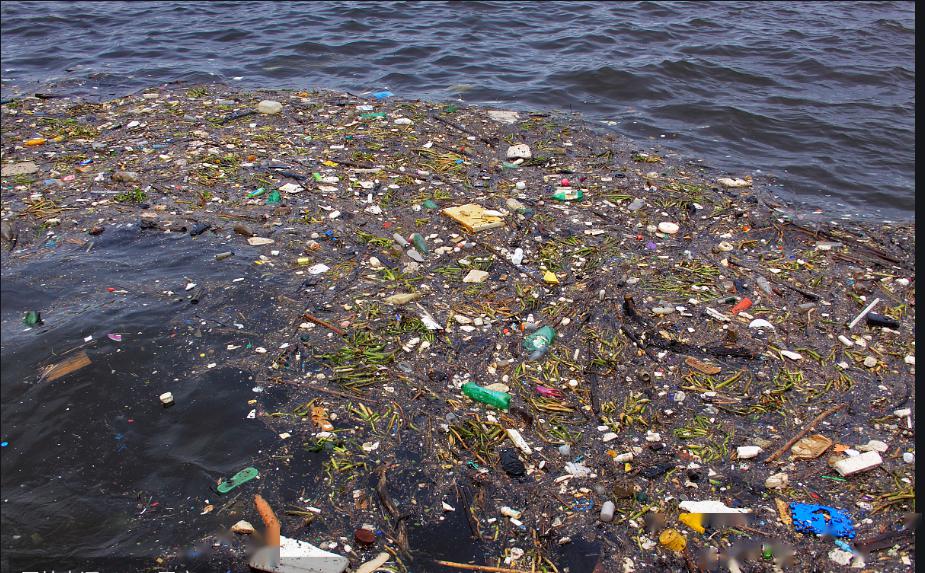 地球妈妈在人类不断的索取中,为什么要保护环境"地球日之父"丹尼斯