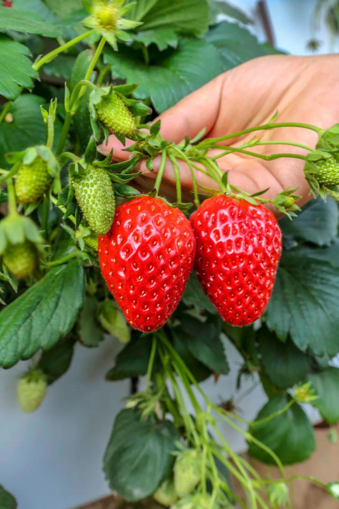 阳春四月 来永靖看"海"_刘家峡