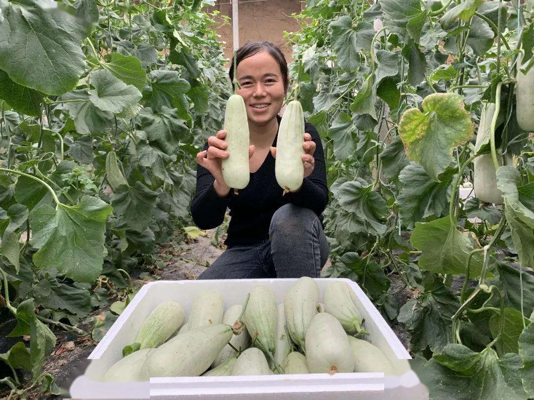 聞著香咬著脆甜到醉春季時鮮羊角蜜瓜上市順豐包郵送到家