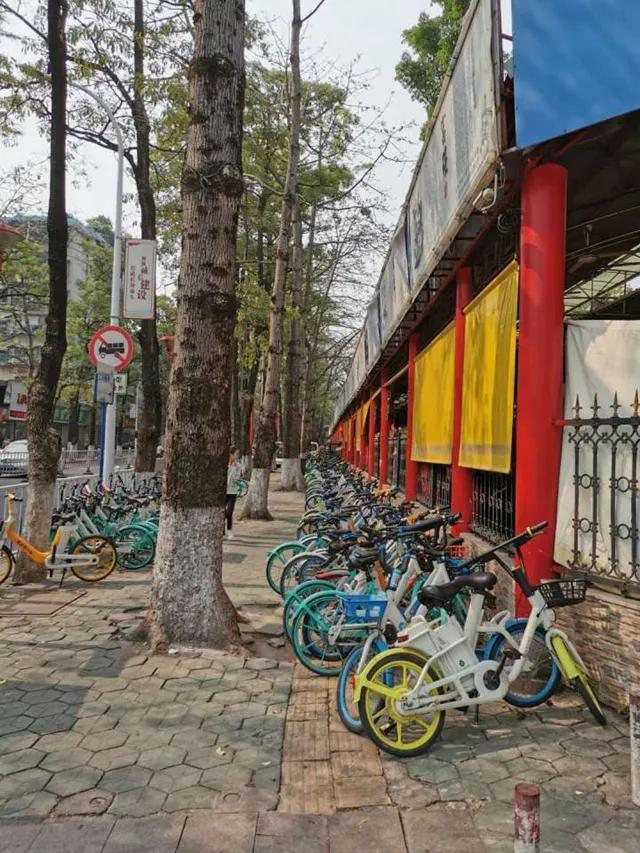 向曾经的觅食去处拜拜金新南路商贩疏导区将拆除汕头金砂公园环境将再
