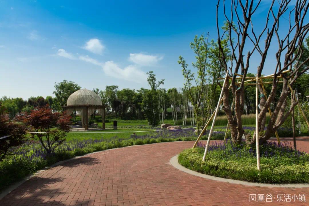 乐活小镇手作热气球把梦想装进移动城堡里放飞于天空上