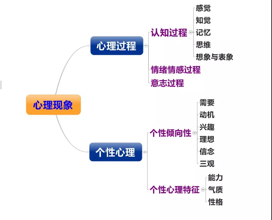 知识点2 心理现象的结构2