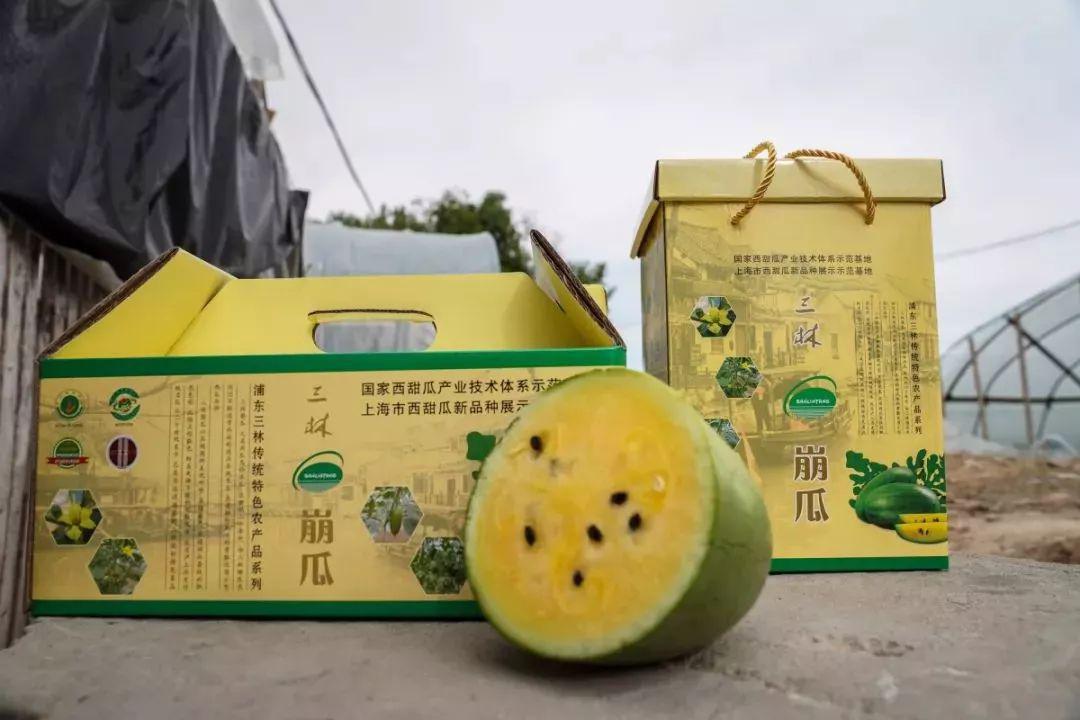 那一口金黄的脆甜如期而至三林崩瓜上市在即小布又送瓜啦