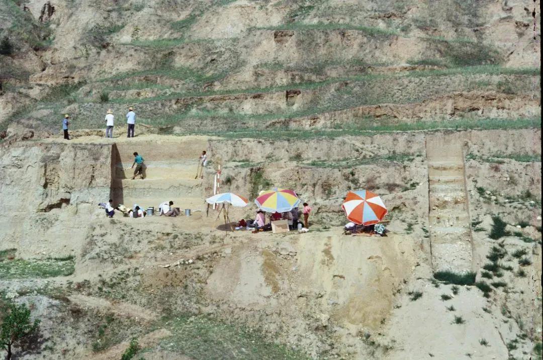 泥河湾 —— 东谷坨遗址| "出土10000余件遗物的旧石器时代早期遗址"