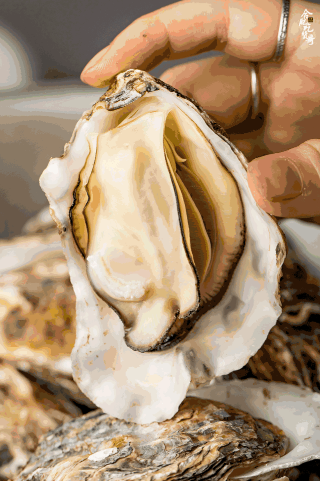 640_960竖版 竖屏gif 动态图 动图