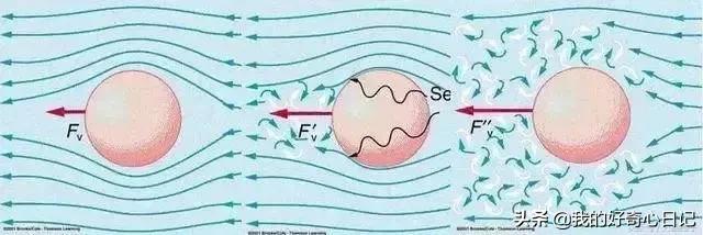 非牛顿流体论文（非牛顿流体科学小论文2000字介绍）