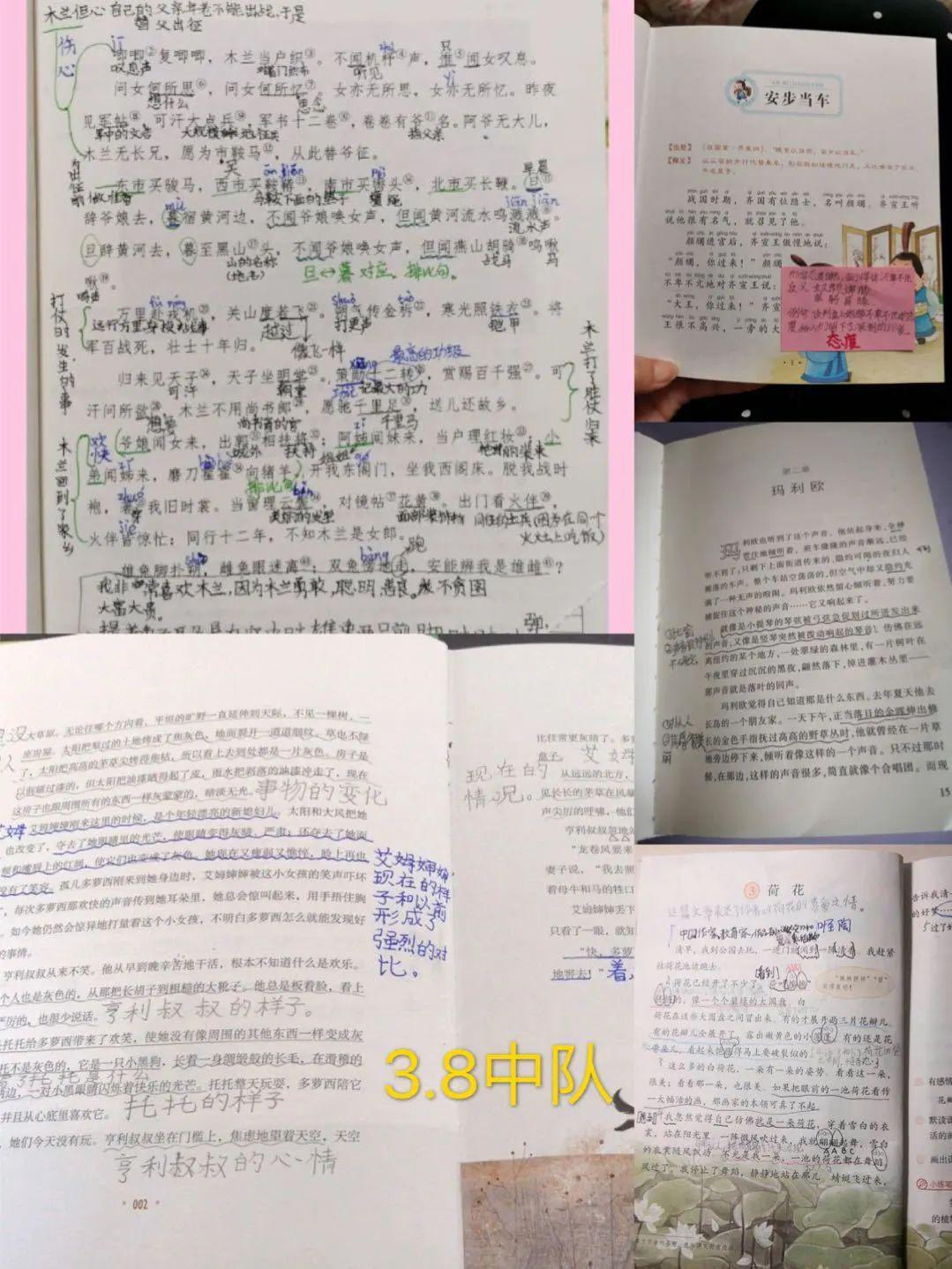 云中分享馥郁书香二三年级圈画批注篇