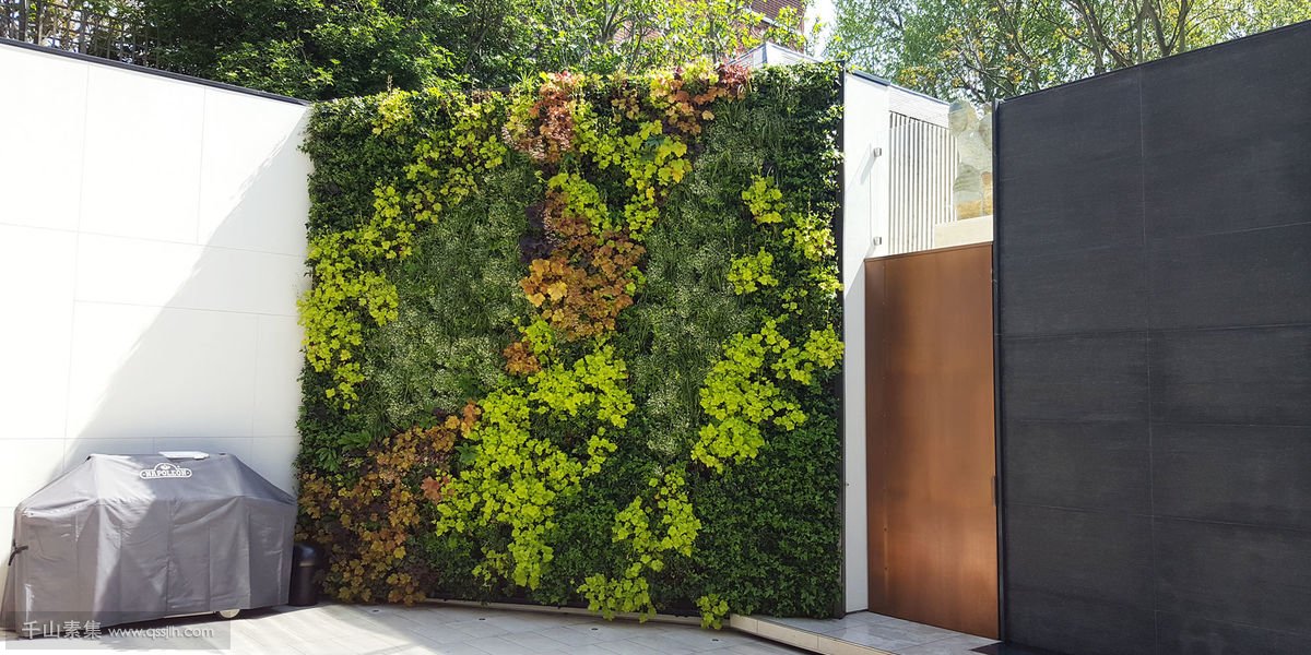 别墅室外庭院垂直绿化干净整洁的垂直花园