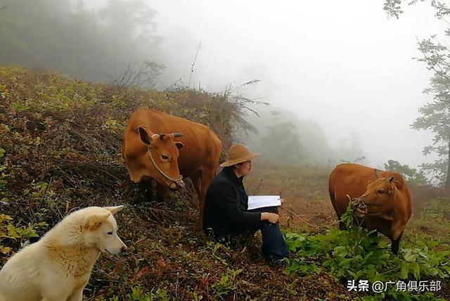 交大才子回農村種地讀書直播成網紅,賀號