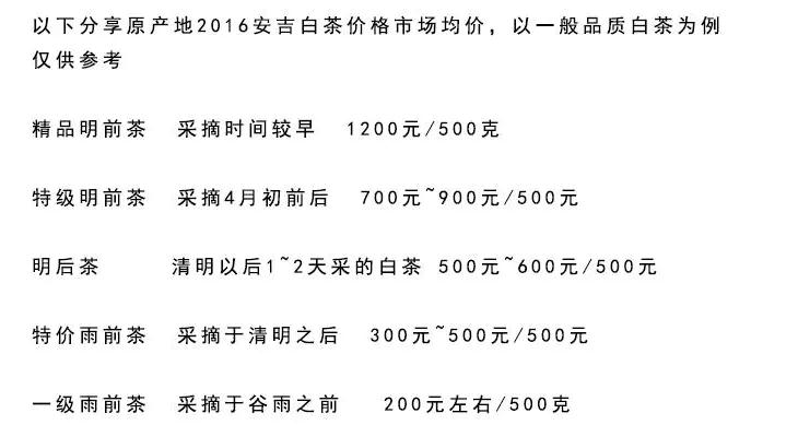 安吉白茶精品价格图片图片