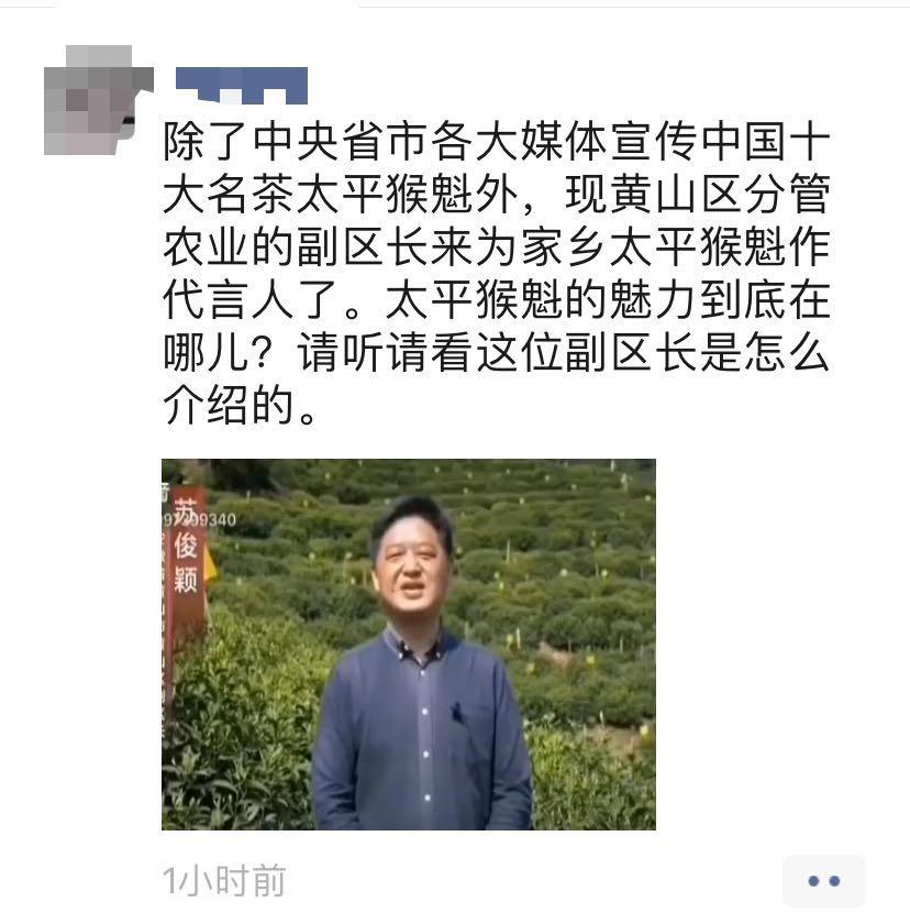 黄山区副区长为太平猴魁代言的视频上头条啦!快去点赞!