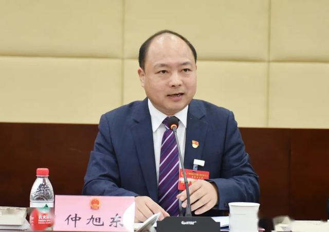 仲旭东参加政协第十组人大独山港代表团讨论审议时强调推进产业转型做