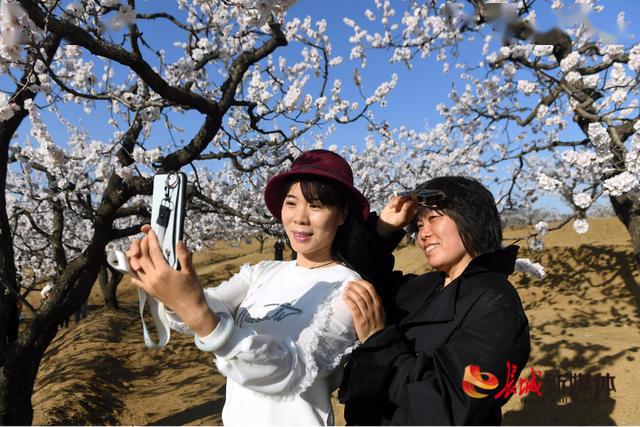 迁安城外探寻百花深处