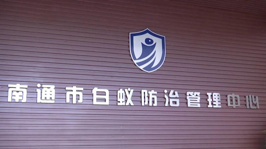 危害极大,最近非常活跃_白蚁