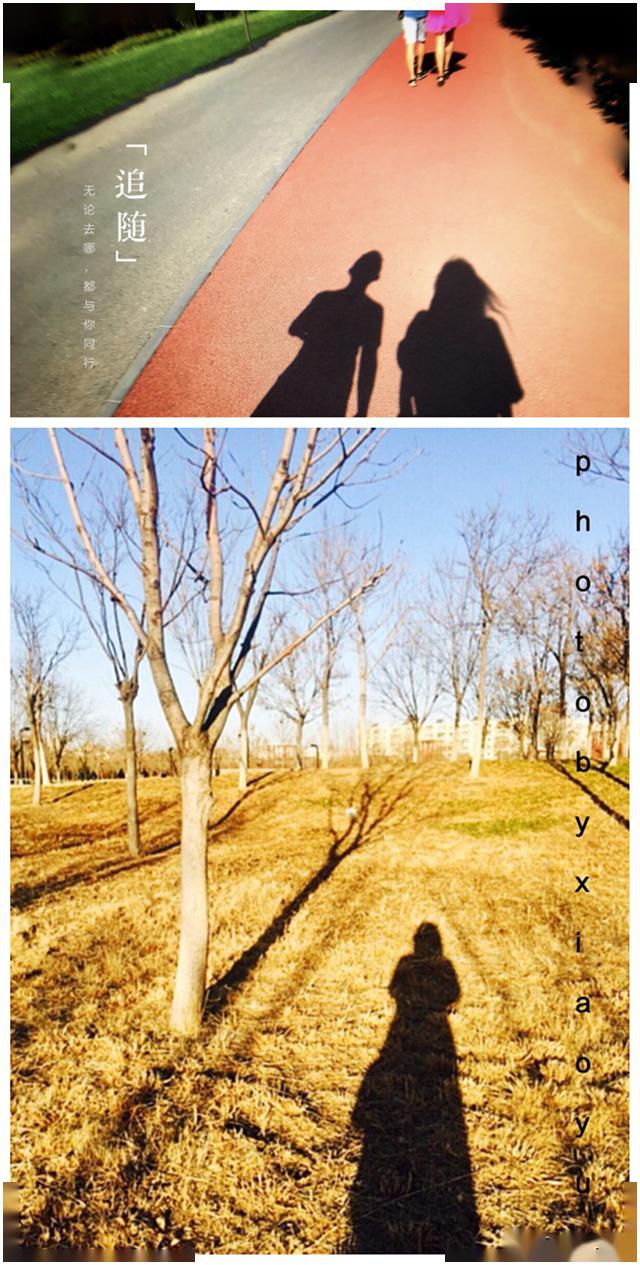 借助顺光自拍影子时,如果是特写,就要注意影子轮廓要清晰(如上图)