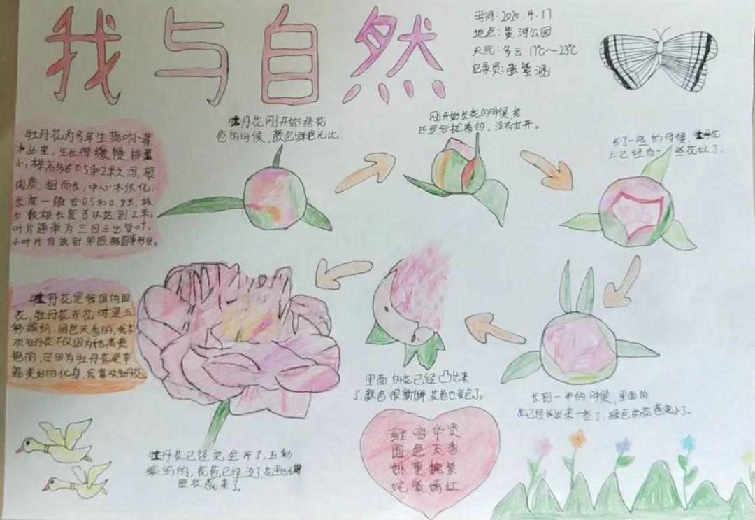 自然笔记我与自然的相遇第一波入围作品