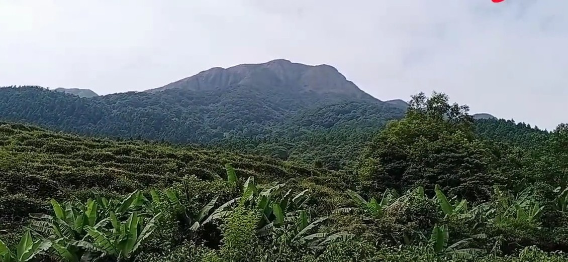 原创广西贵港最高山峰平天山大山脉主峰高达11578米