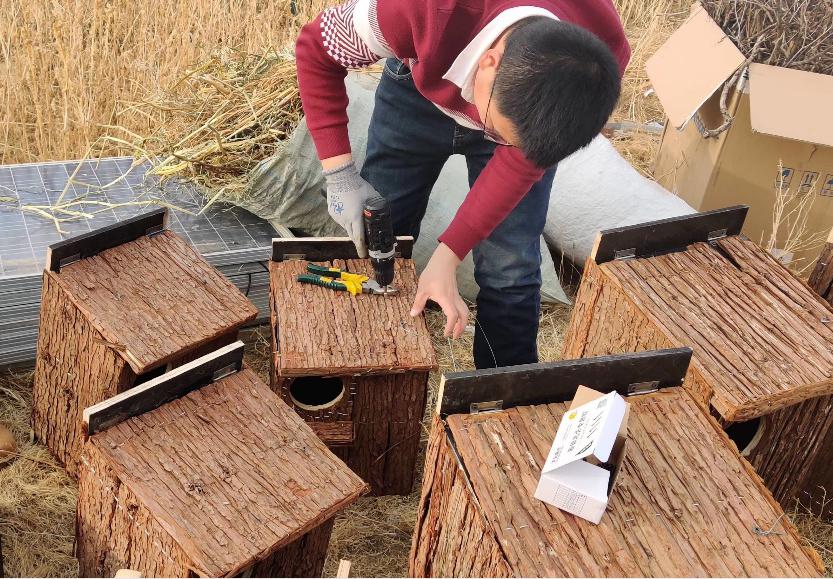 呼伦湖国家级自然保护区管理局安装人工鸟巢为鸟类栖息繁殖提供温馨