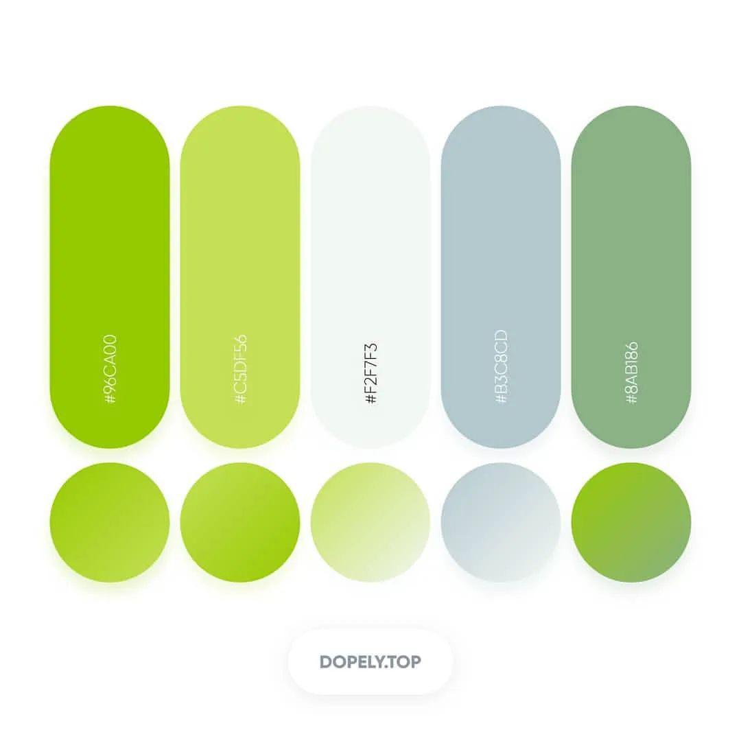 属于夏季の配色百张色卡一键领取