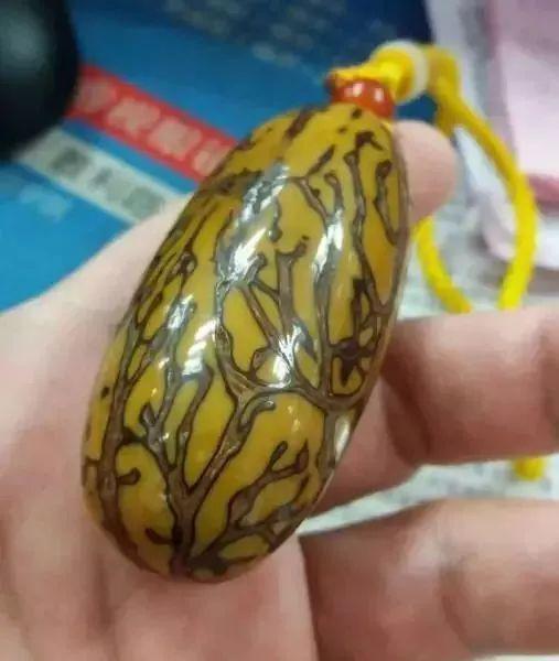 千眼菩提老家那些事儿