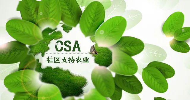 为何社区支持农业csa农场可以在疫情危机之下拥有如此好的表现?