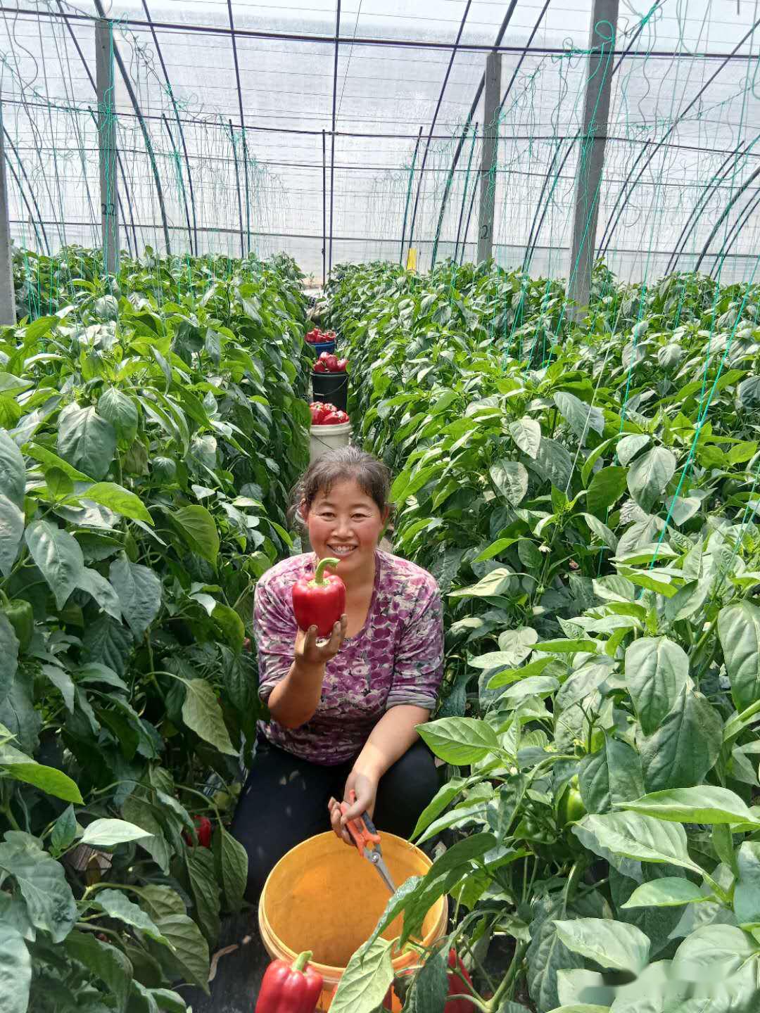 新时代新农民满满幸福一家人