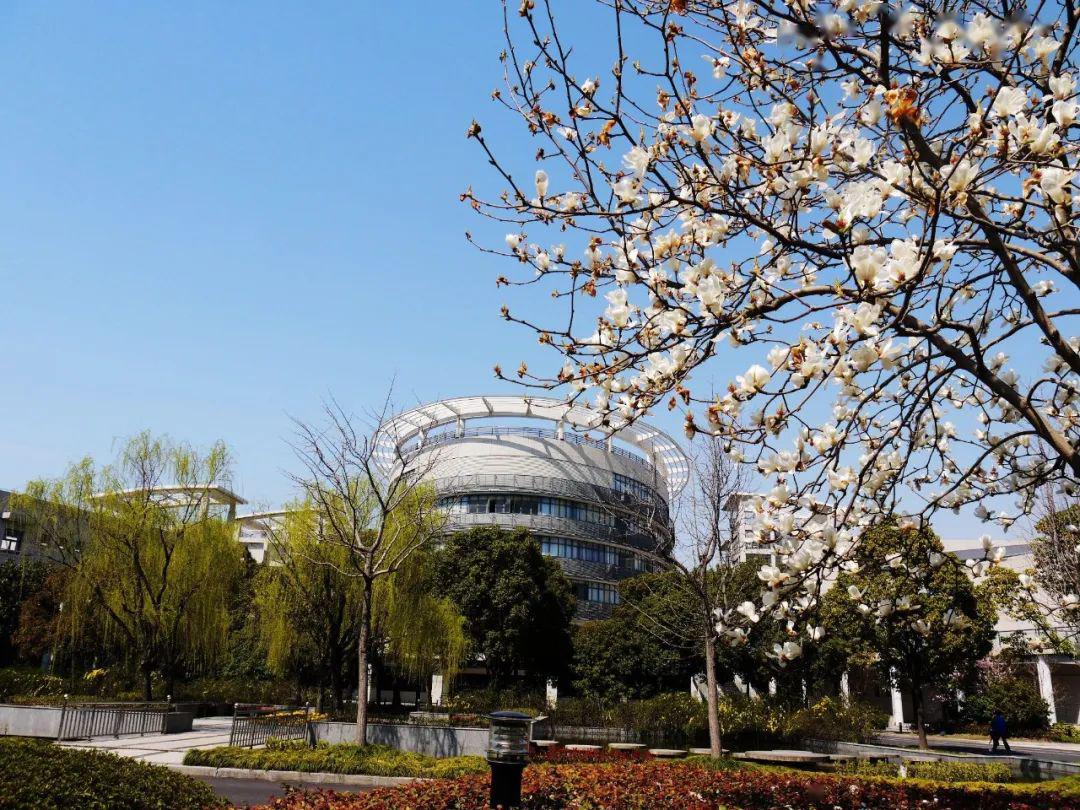 上海大学附属中学2020年高中阶段学校艺术特长生招生简章