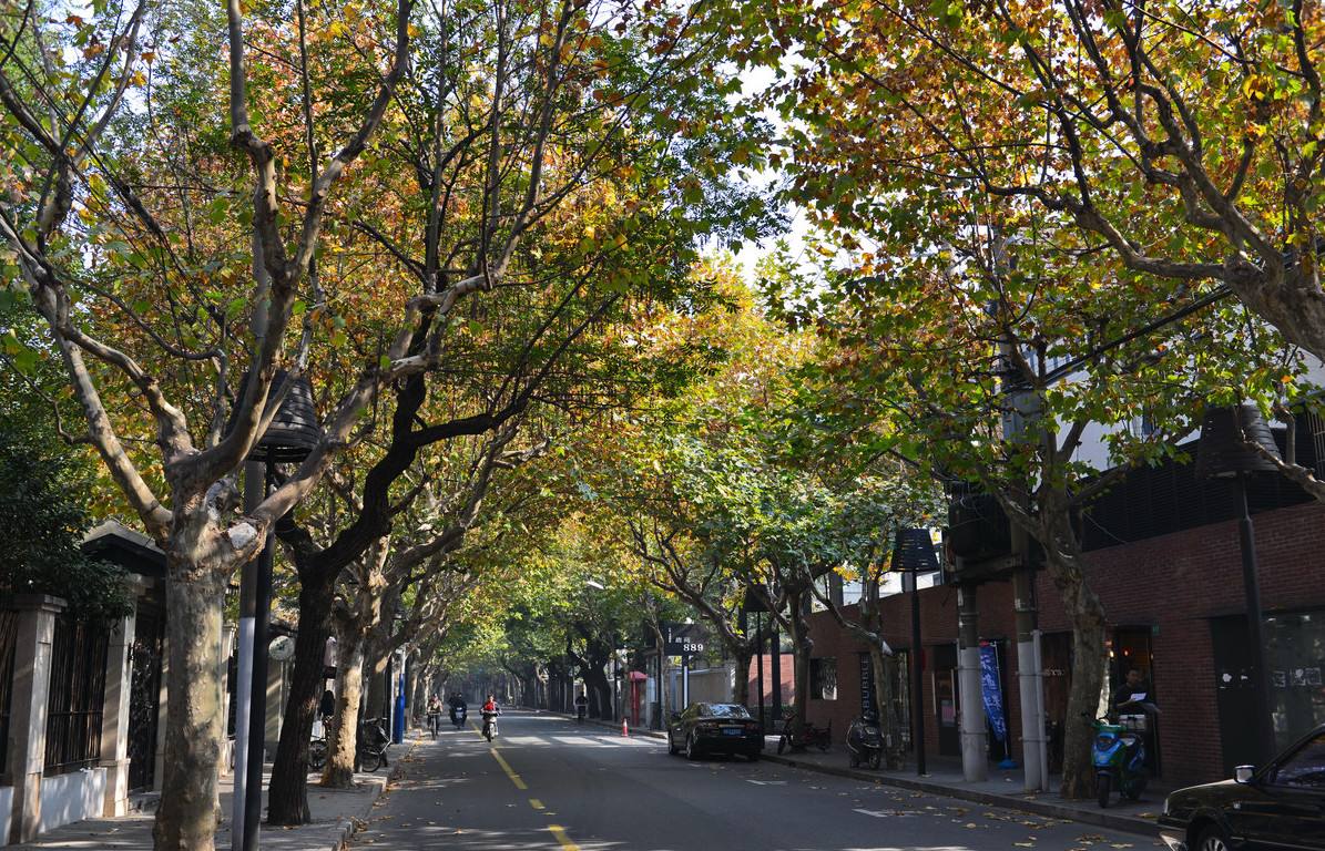 五原路低调而静谧的上海小马路