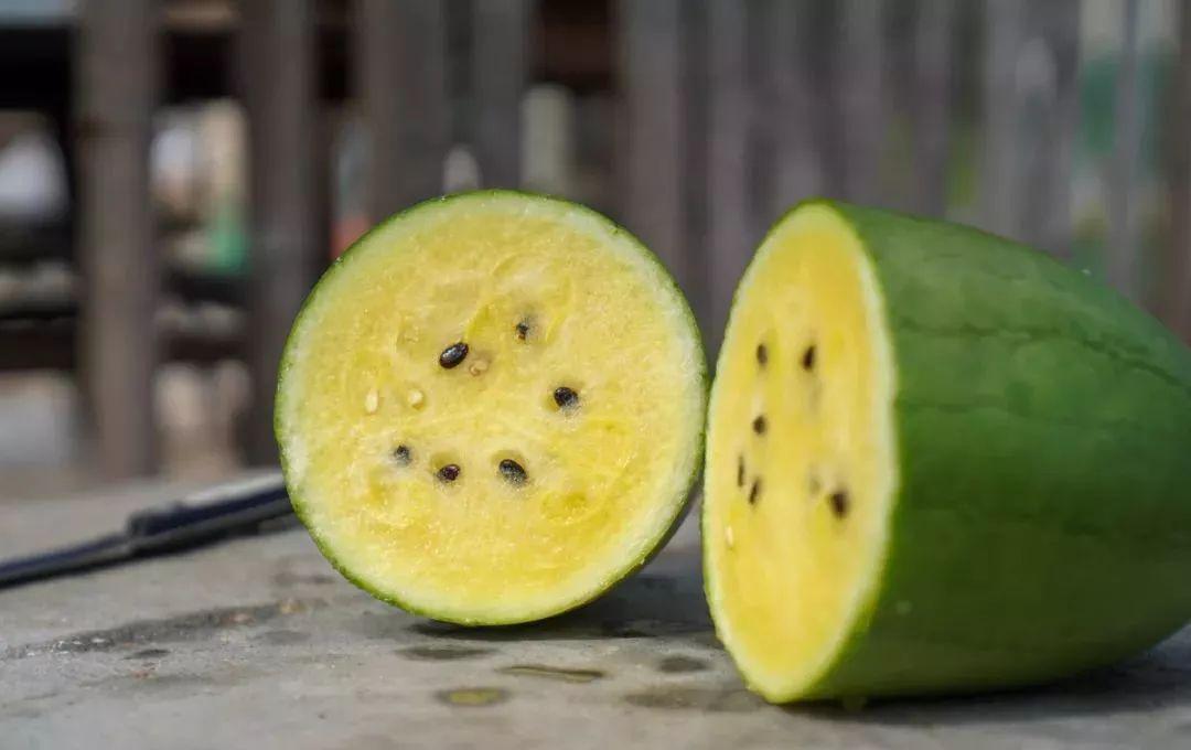 那一口金黄的脆甜如期而至三林崩瓜上市在即小布又送瓜啦