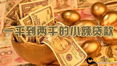 一千到两千的贷款软件,1000小额贷款秒到软件-尚鑫金服