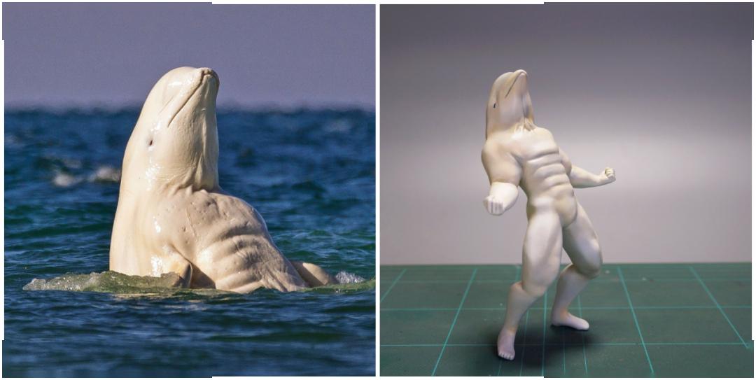 鲸鱼人无人机溜汪星人奶猫很多有趣的事情,都是在不经意的某个瞬间