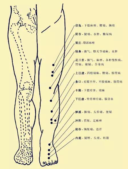 非常完整的人体穴位图与功效(果断收藏)