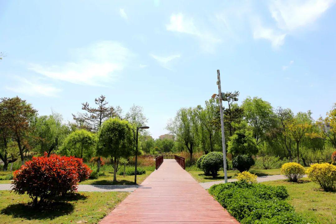 单县湖西公园图片