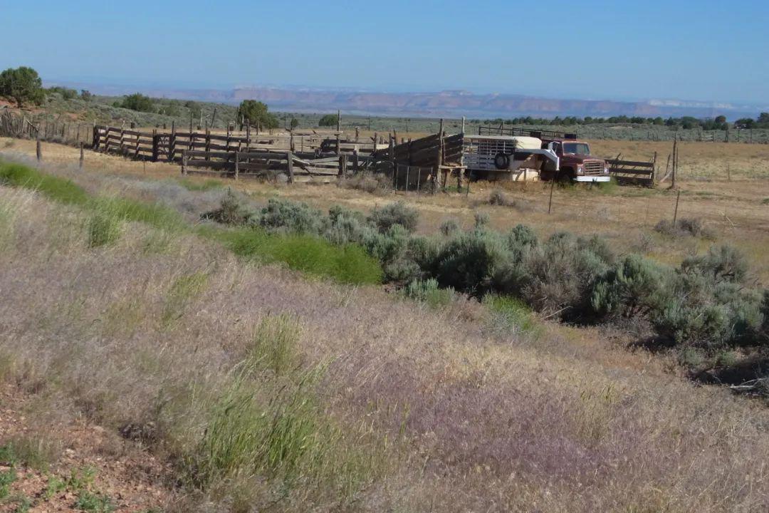 tao | 骑行美国·14 抓住希望的光芒