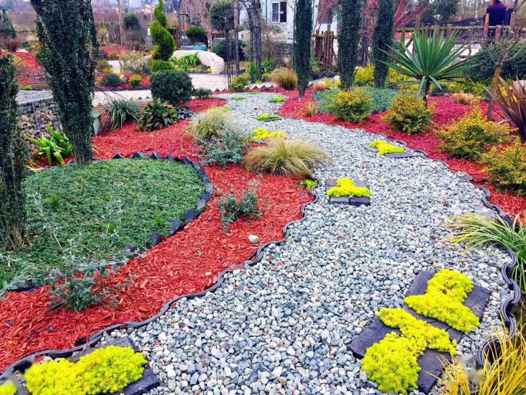 植物认知4月份花乐园花境植物集锦