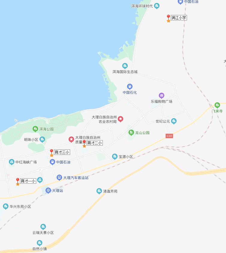 就近划片入学大理2020年小学新生招生公告出炉你家房子能让孩子上哪所