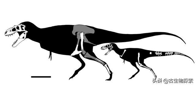 霸王龙家族又添恐怖新成员