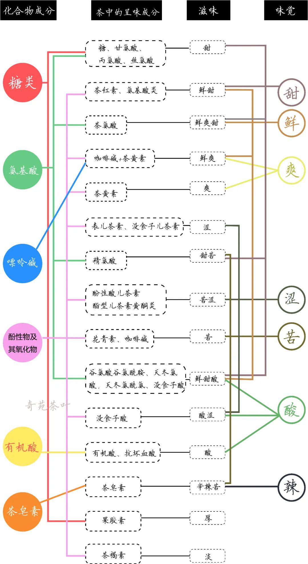 味觉的形成过程流程图图片