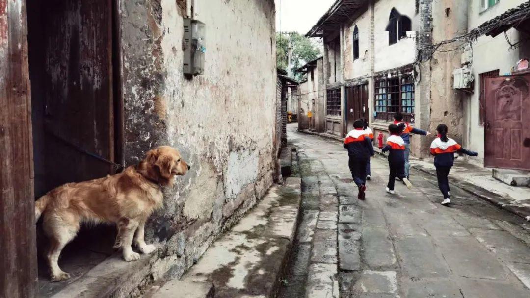 悠悠古镇的梦幻乡愁 图源 江津文旅 4 吴滩古镇 图源|江津文旅 5