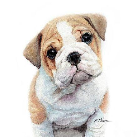 小动物绘画出大文章用萌态动物来窥视艺术的全貌