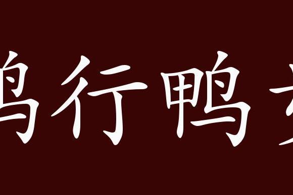 象鵝和鴨子那樣的走路.成語用法:緊縮式成語