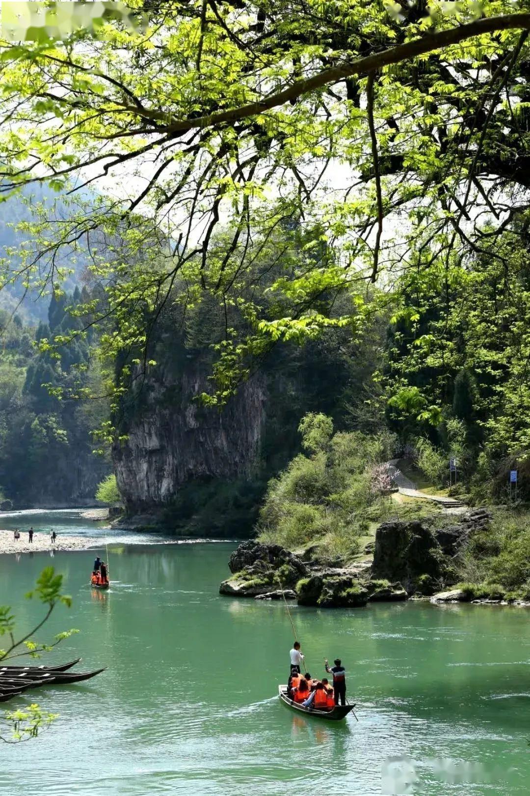 灵溪河泛舟 杨贤清 摄泛舟司河:灵溪河两岸崖高壁峭,古木苍翠,灵溪之