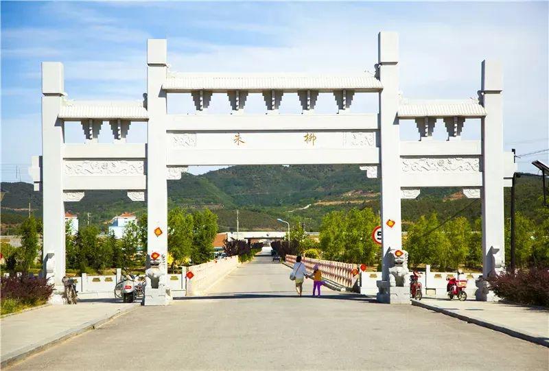 朱柳村二调研组对南水桃林村组织振兴,产业发展给予充分肯定,同时白光