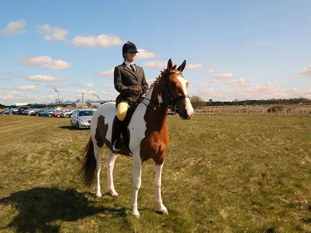 1正确的基本骑座刚骑坐在马背上,就要开始调整正确的骑姿:抬头,收下巴