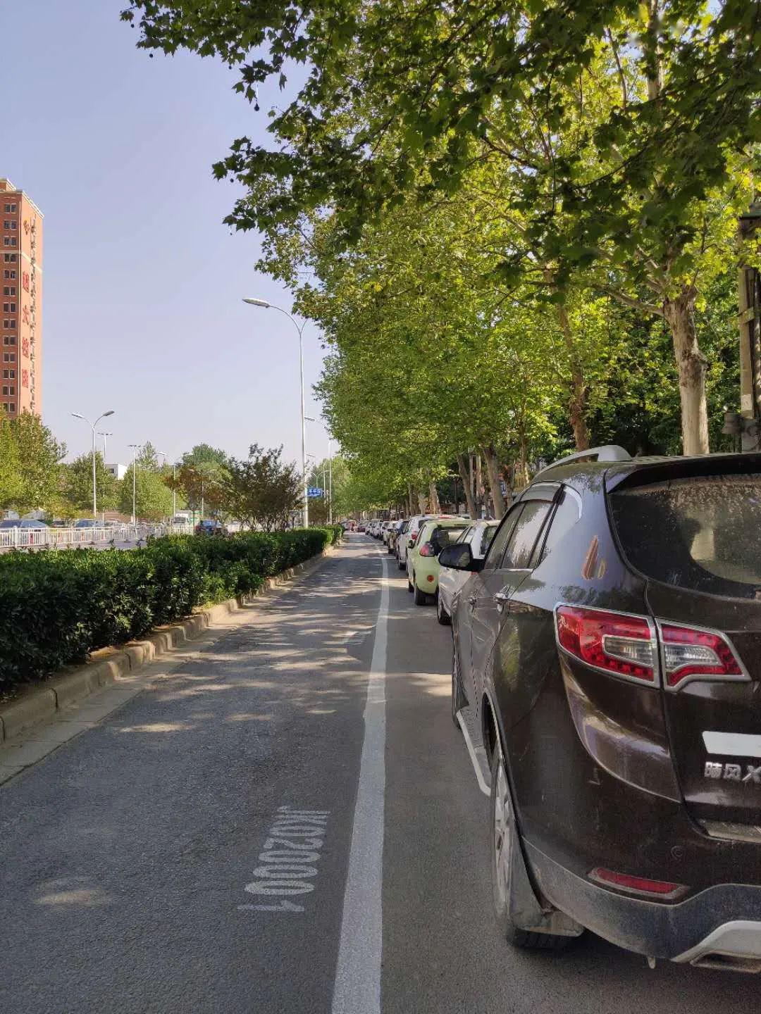 路边停车暂不收费!濮阳市民可放心停车