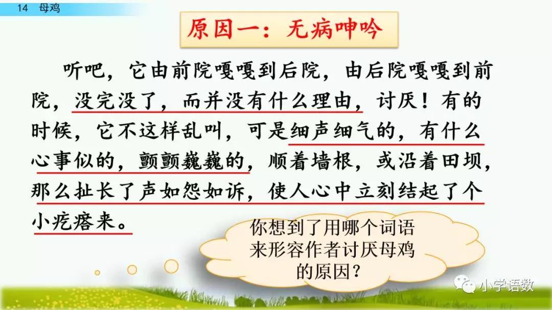 部編版四年級下冊第14課母雞圖文講解