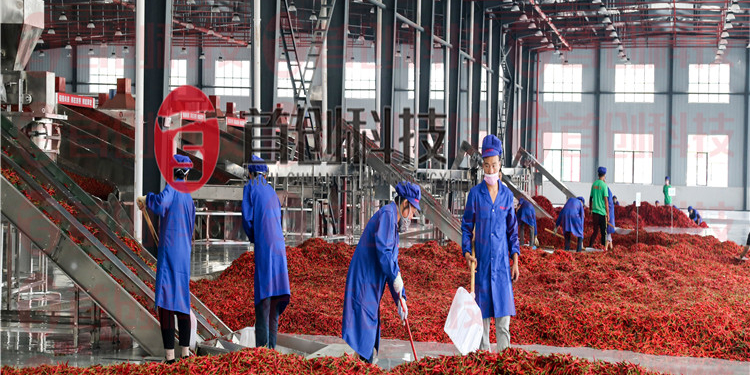 但是市面上大量需求的出现,大型辣椒烘干设备需求在日益增加.