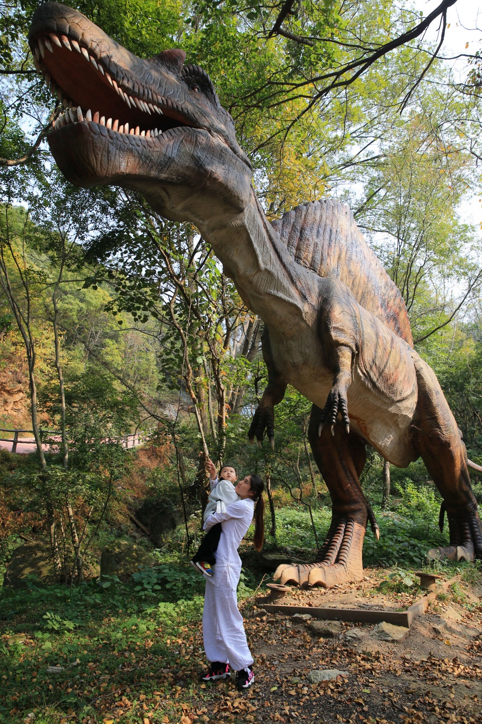 原创黄陂恐龙谷武汉北郊的旅游胜地探峡谷秘密体验侏罗纪